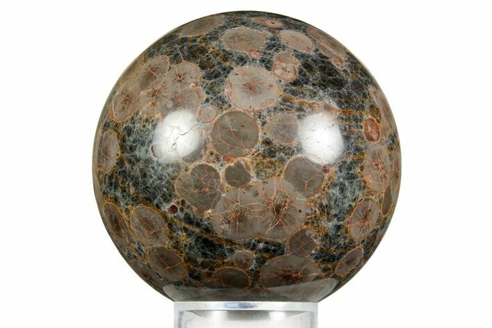 Polished Orbicular Rhyolite (Peanut Obsidian) Sphere - Mexico #371237